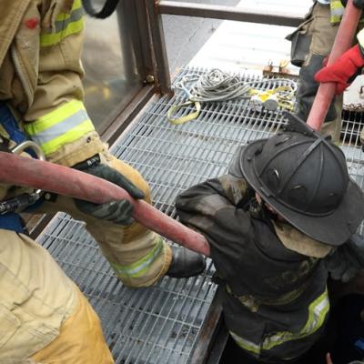 About Training 44
