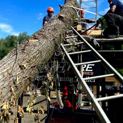Extrication 5